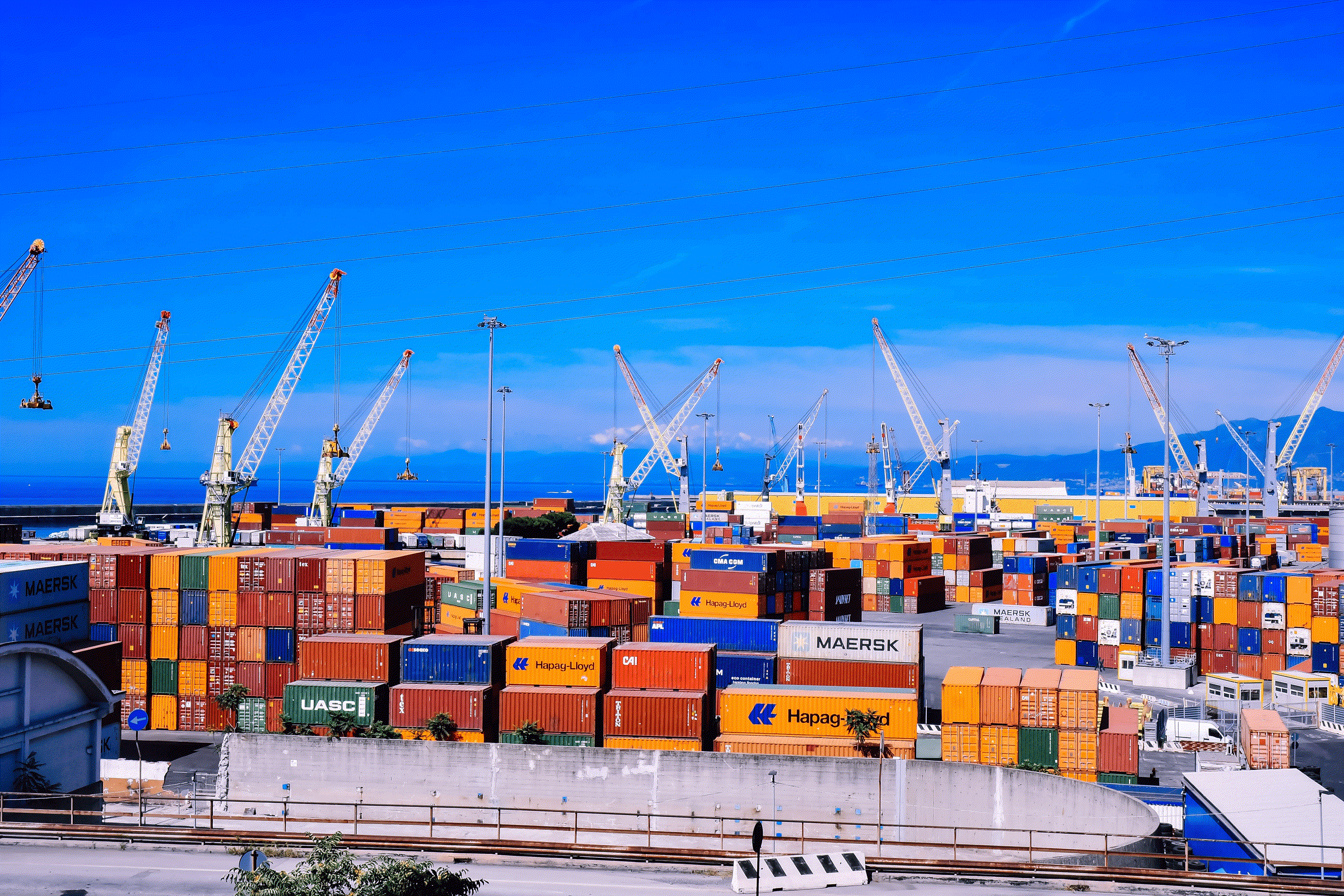Shipping containers stacked in rows beneath gantry cranes at a busy port terminal
